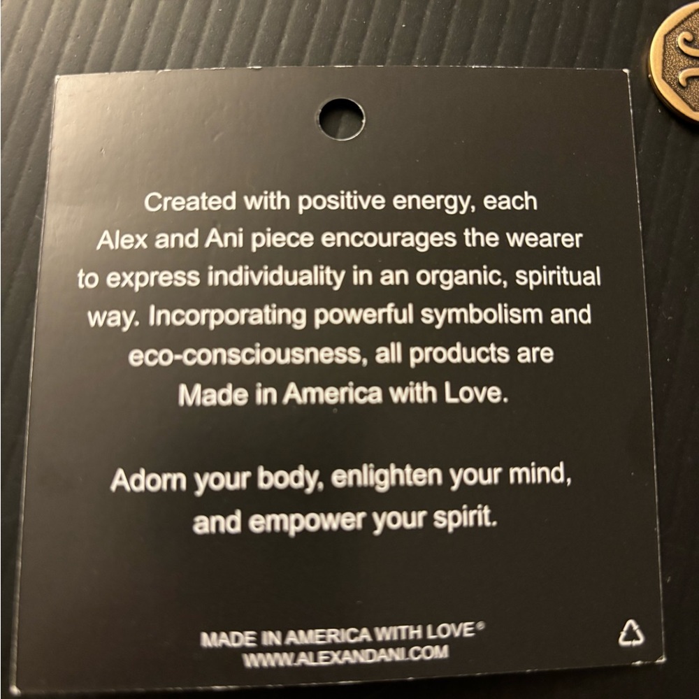 Alex And Ani R Initial Bracelet - image 2